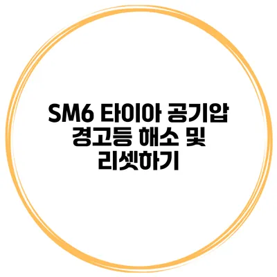 SM6 타이아 공기압 경고등 해소 및 리셋하기