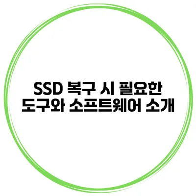 SSD 복구 시 필요한 도구와 소프트웨어 소개