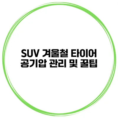 SUV 겨울철 타이어 공기압 관리 및 꿀팁