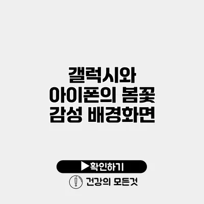 갤럭시와 아이폰의 봄꽃 감성 배경화면