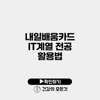 내일배움카드 IT계열 전공 활용법