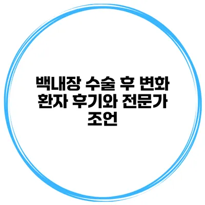 백내장 수술 후 변화 환자 후기와 전문가 조언