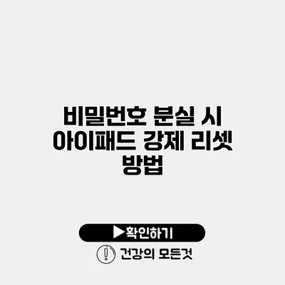 비밀번호 분실 시 아이패드 강제 리셋 방법