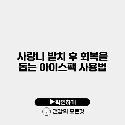 사랑니 발치 후 회복을 돕는 아이스팩 사용법