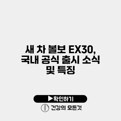 새 차 볼보 EX30, 국내 공식 출시 소식 및 특징