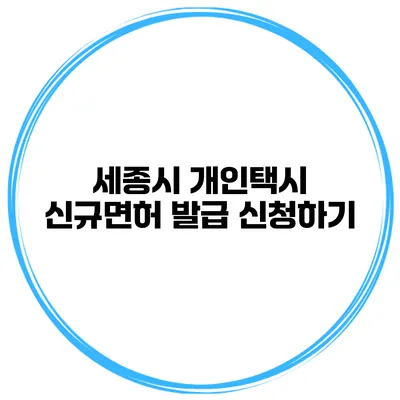세종시 개인택시 신규면허 발급 신청하기