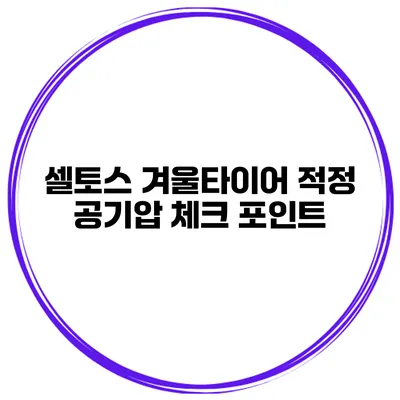 셀토스 겨울타이어 적정 공기압 체크 포인트