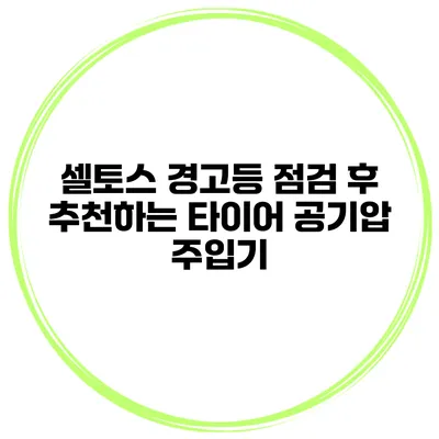 셀토스 경고등 점검 후 추천하는 타이어 공기압 주입기