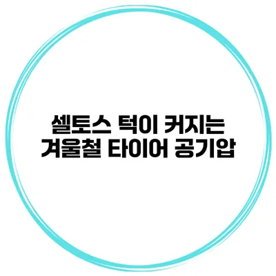 셀토스 턱이 커지는 겨울철 타이어 공기압