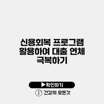신용회복 프로그램 활용하여 대출 연체 극복하기