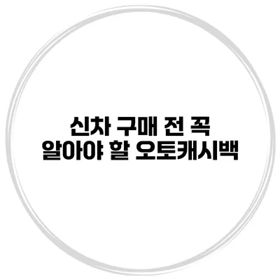 신차 구매 전 꼭 알아야 할 오토캐시백