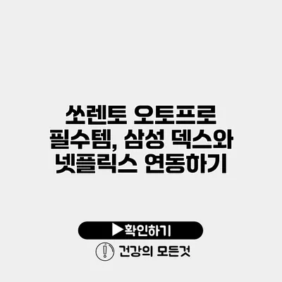 쏘렌토 오토프로 필수템, 삼성 덱스와 넷플릭스 연동하기