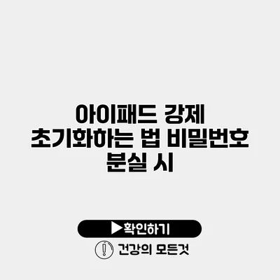 아이패드 강제 초기화하는 법 비밀번호 분실 시