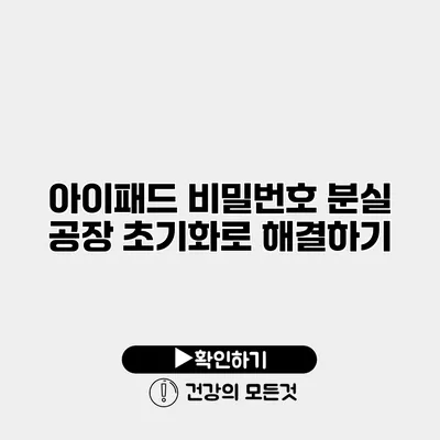 아이패드 비밀번호 분실 공장 초기화로 해결하기