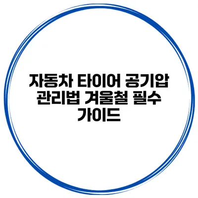 자동차 타이어 공기압 관리법: 겨울철 필수 가이드