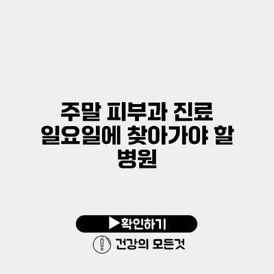 주말 피부과 진료 일요일에 찾아가야 할 병원