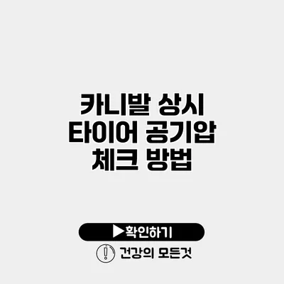 카니발 상시 타이어 공기압 체크 방법