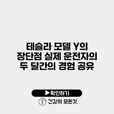 테슬라 모델 Y의 장단점 실제 운전자의 두 달간의 경험 공유