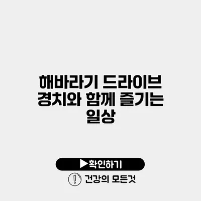 해바라기 드라이브 경치와 함께 즐기는 일상