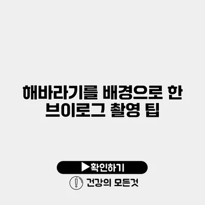 해바라기를 배경으로 한 브이로그 촬영 팁