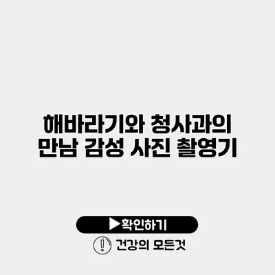 해바라기와 청사과의 만남 감성 사진 촬영기