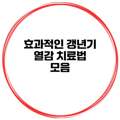 효과적인 갱년기 열감 치료법 모음